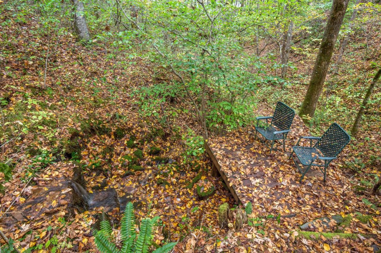 Mountain Top Tranquility Sylva Exteriér fotografie