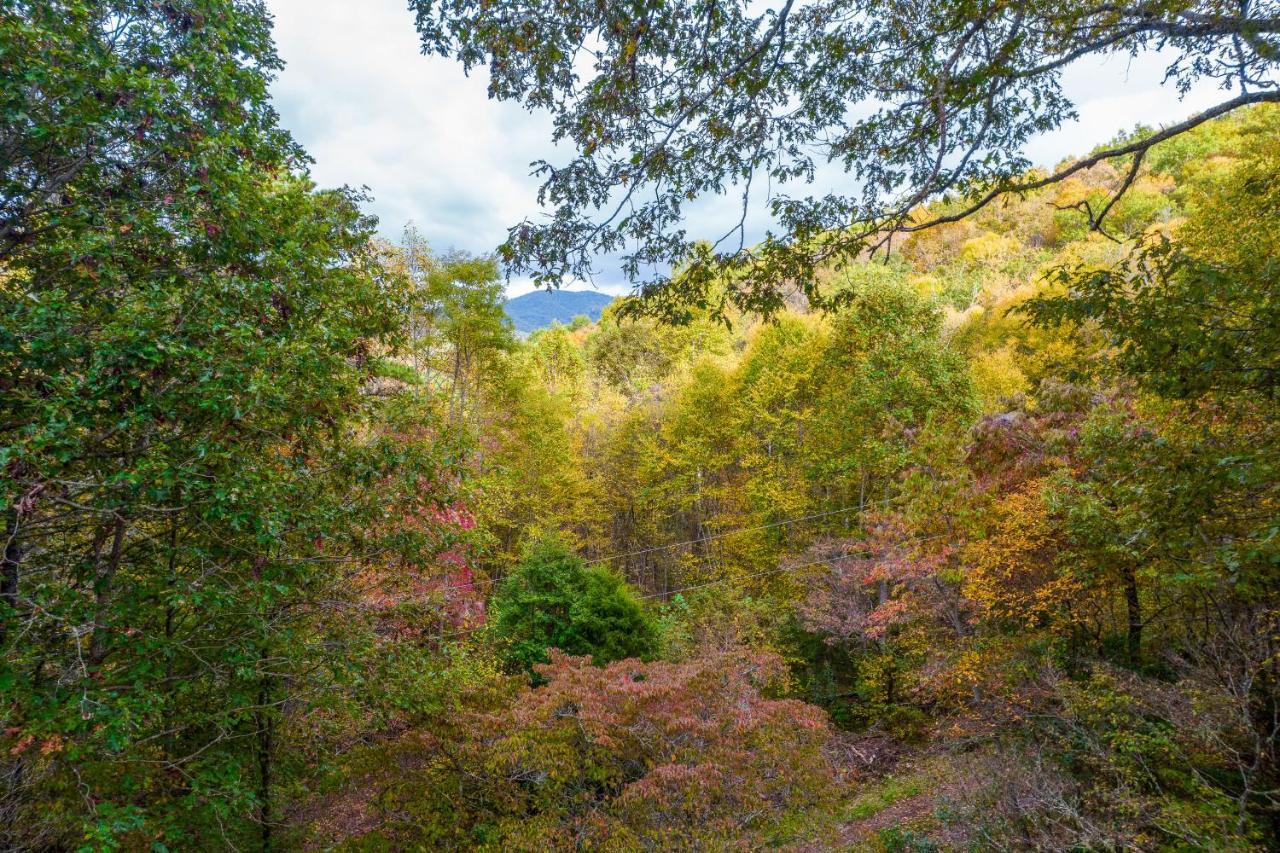 Mountain Top Tranquility Sylva Exteriér fotografie